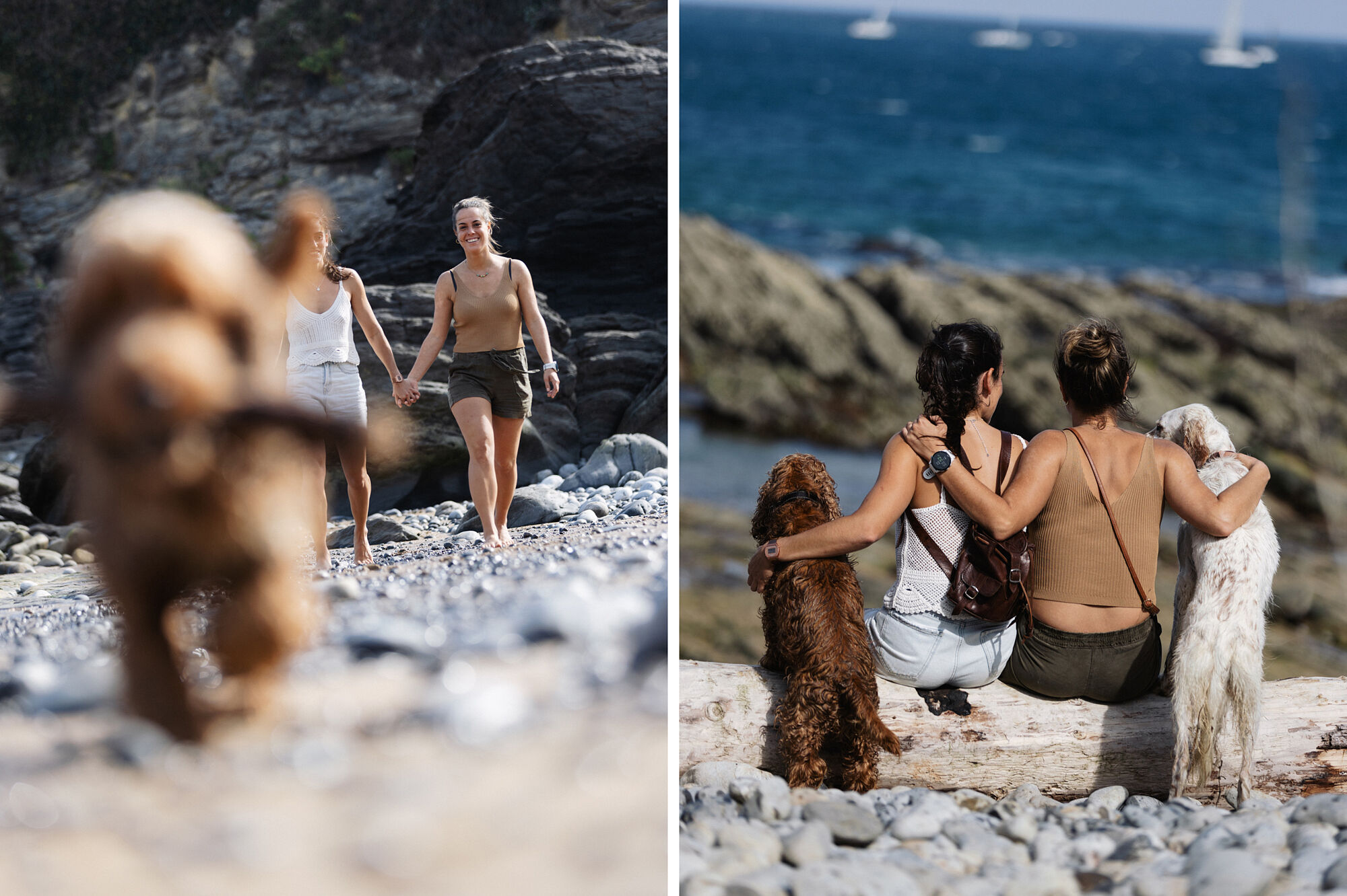 Reportaje con mascotas en Castro Urdiales, Cantabria, España
