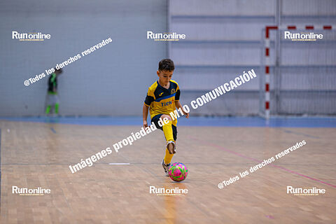 CIUDAD TALAVERA CARPA PRE