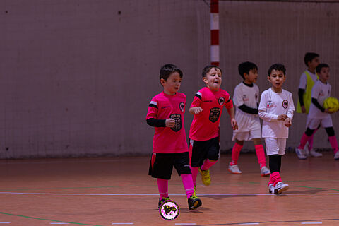 BENJAMINES ALCARRIA 1 DE FEBRERO