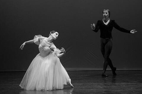 Vendita foto stampate