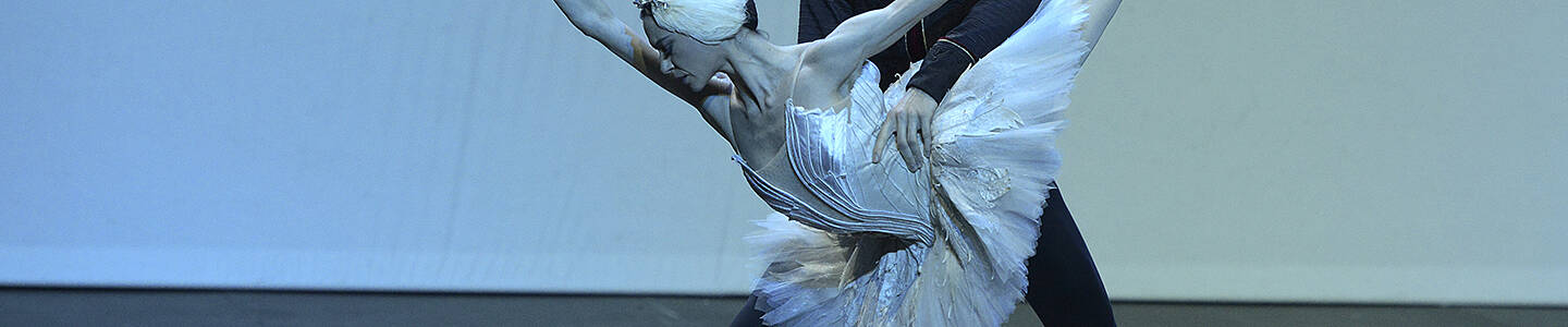 Lucia Lacarra  Marlon Dino