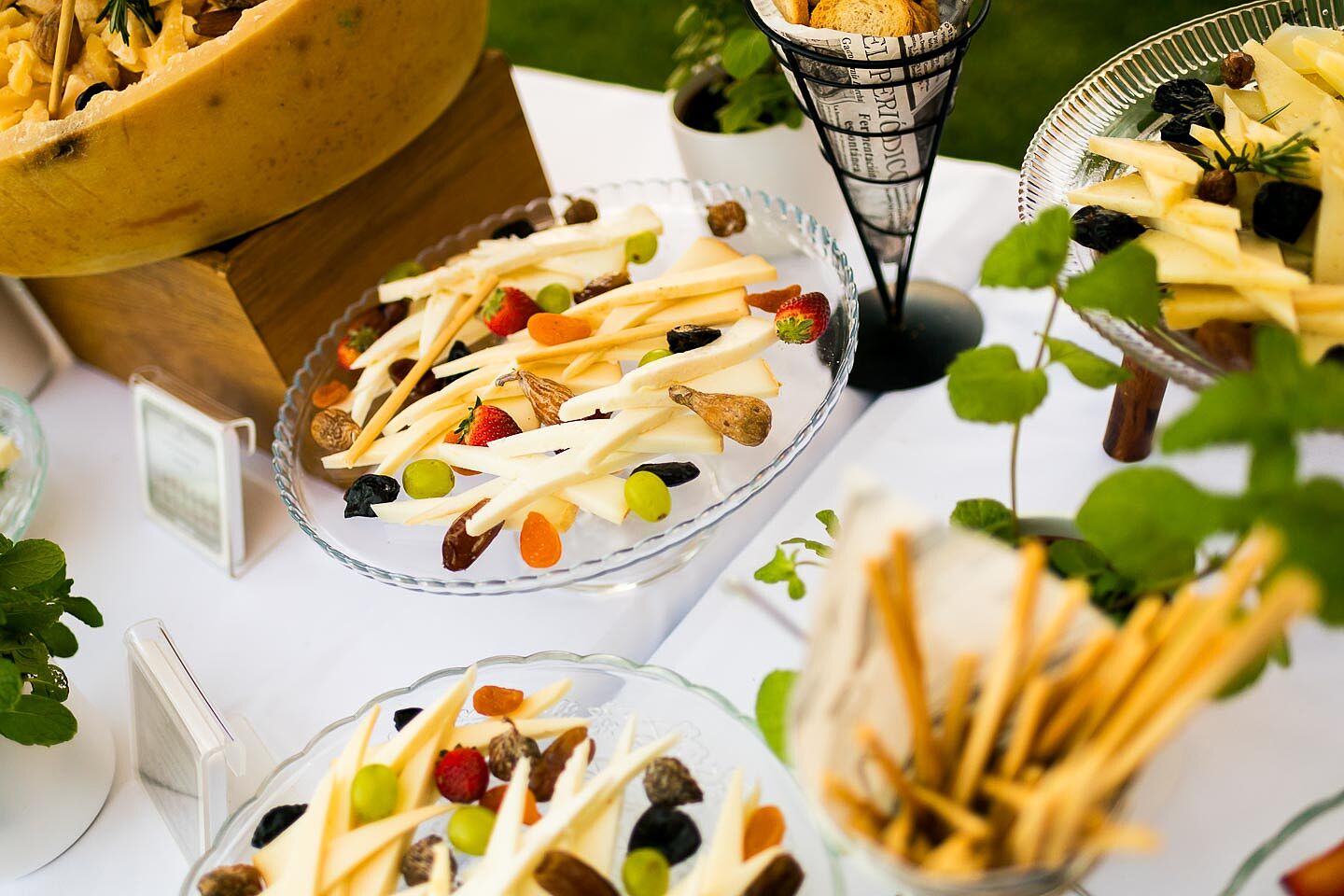 carlayalvaro-0426-29823-O