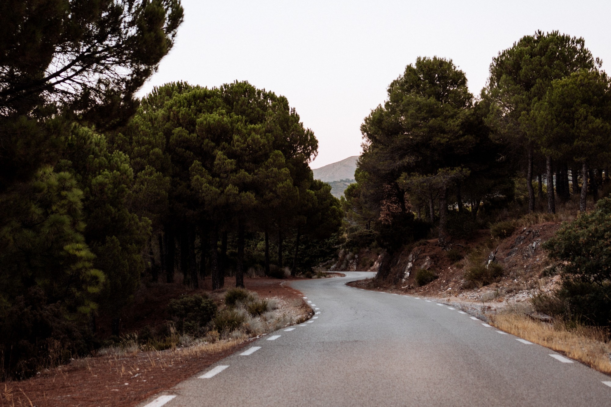 31 de agosto de 2020- LOVE SESSION DAVID & CRISTINA-1073-Editar