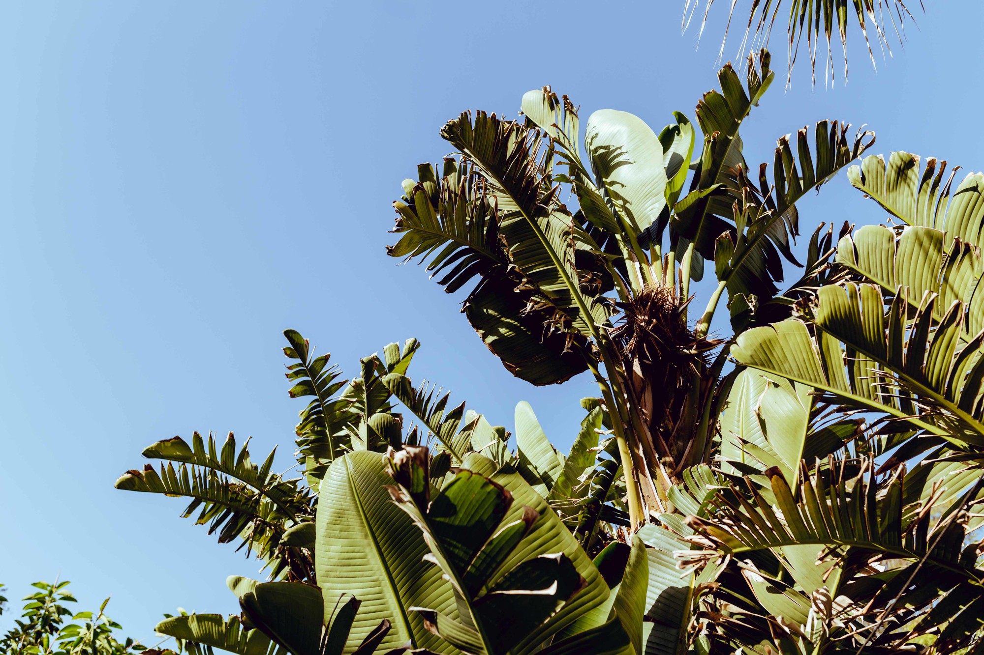 Fotografía de bodas en Málaga 008