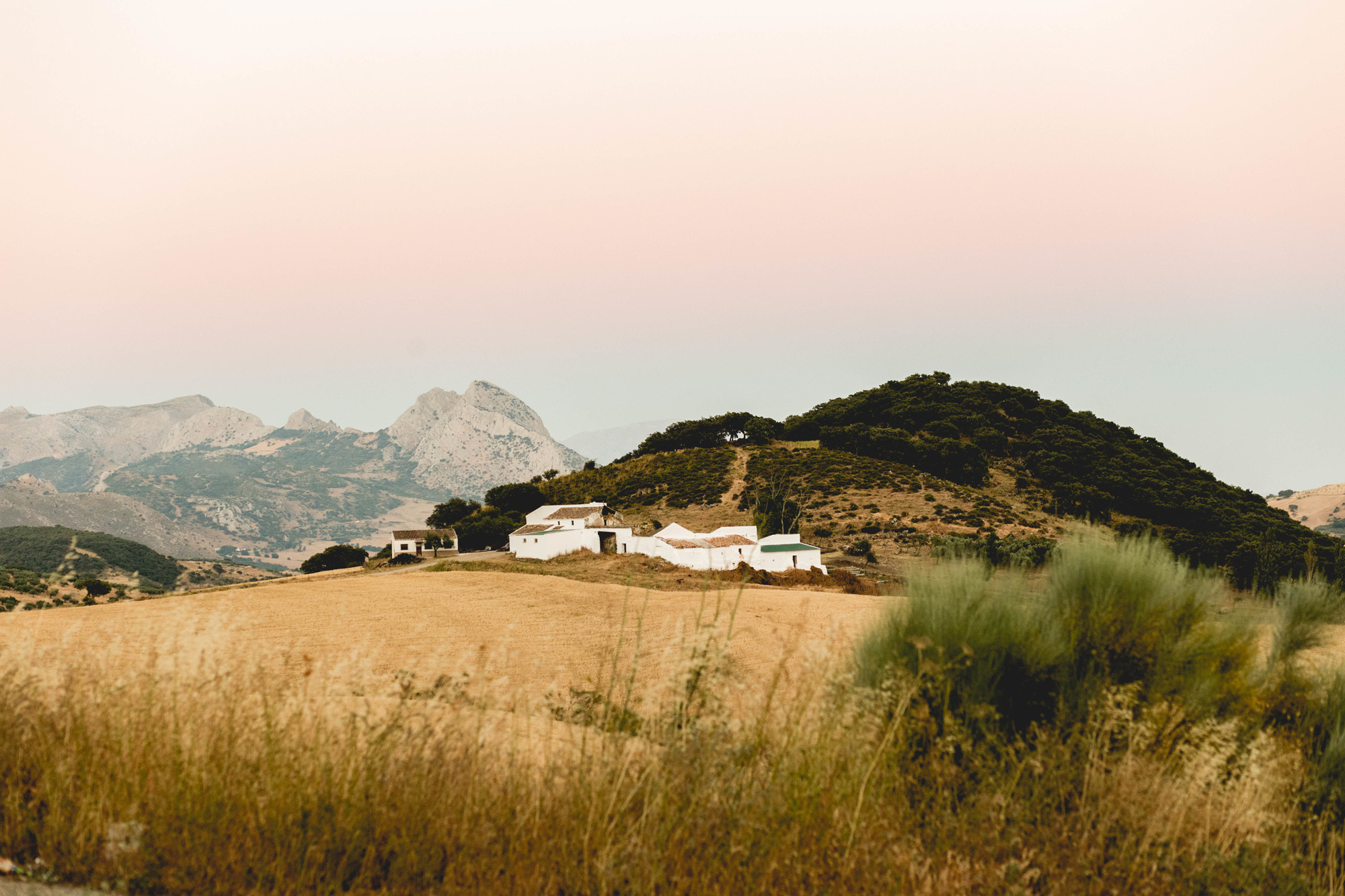 ALEX & MIRIAM PREBODA  (16 de 23)