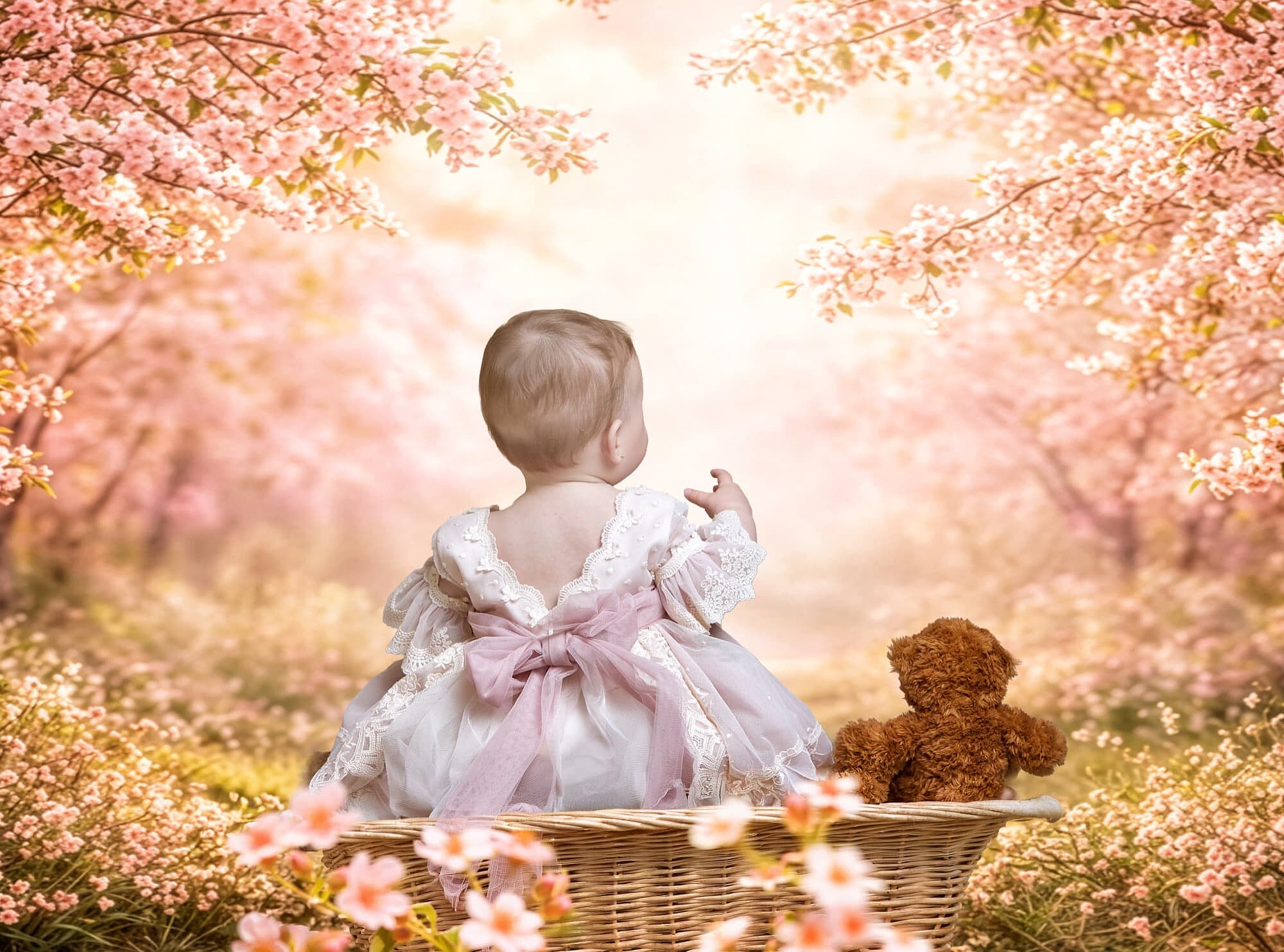 Bebé de espaldas con vestido rosa y blanco de encaje con un gran lazo de tul en la cintura, sentada dentro de un capazo de mimbre en un paisaje de ensueño con cerezos en flor y flores rosas, acompañada de un osito de peluche marrón a su lado.