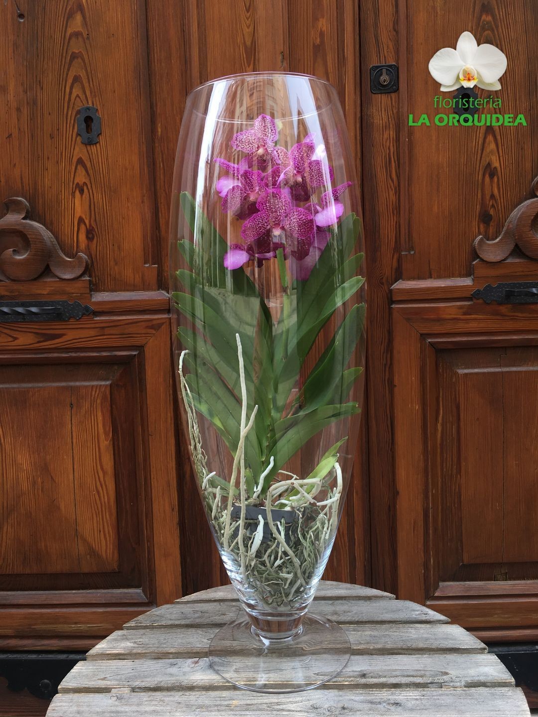 Cristal con Orqídea Vanda