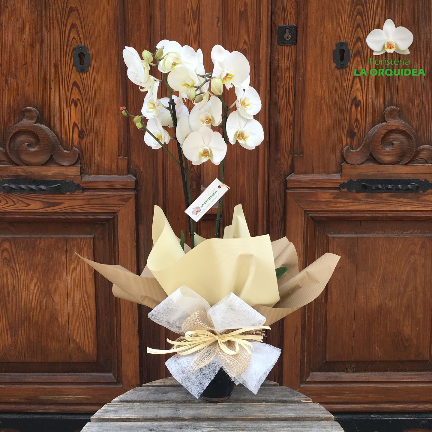 Orquidea blanca con cristal