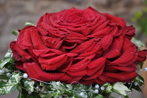 RAMOS DE ROSAS