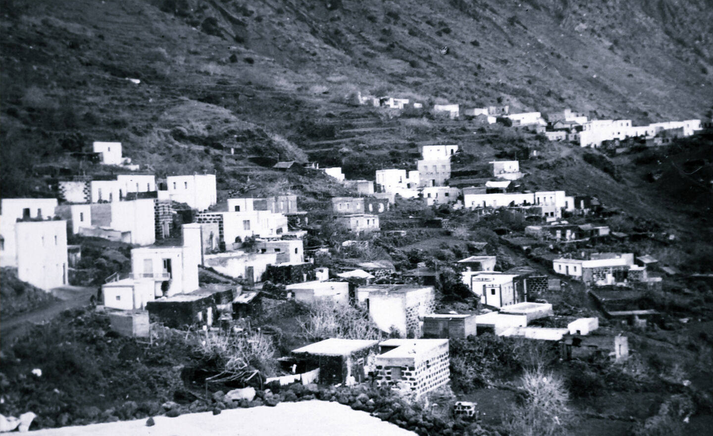 Asociación cultural y etnográfica Sabinosa un sentimiento - sabinosa-ts20251128103248583209.jpg