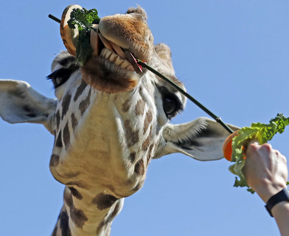National Geographic