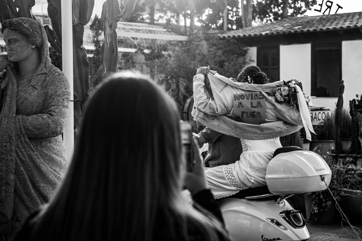 Boda en ses tres germanes, flores de Mallorca 03