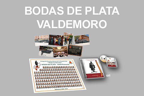 BODAS DE PLATA VALDEMORO