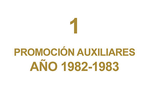 1 PROMOCION AUXILIARES