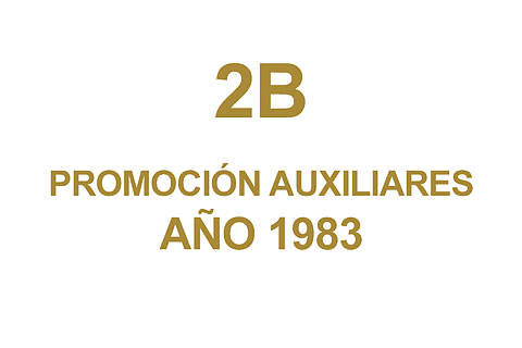 2B PROMOCION AUXILIARES