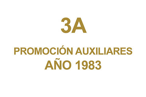 3A PROMOCION AUXILIARES