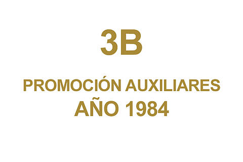 3B PROMOCION AUXILIARES