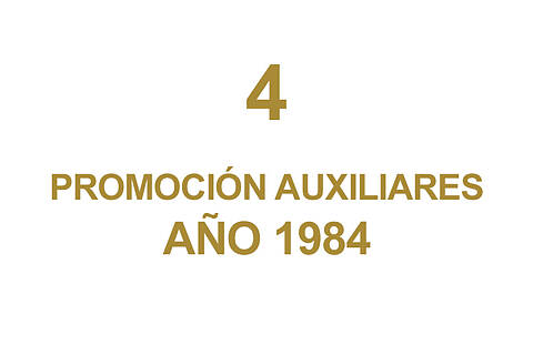 4 PROMOCION AUXILIARES