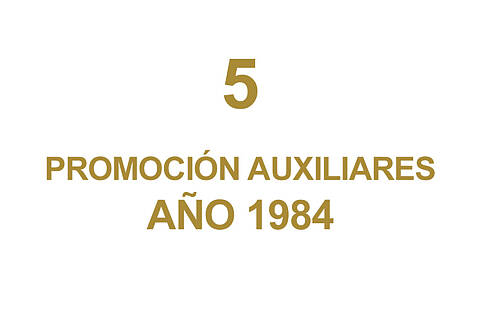 5 PROMOCION AUXILIARES