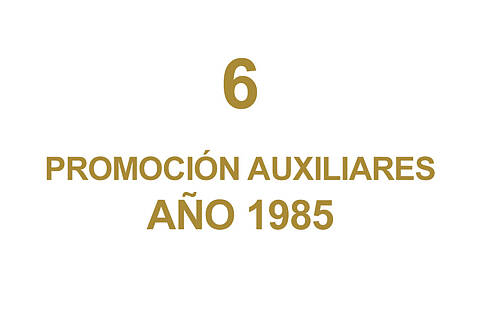 6 PROMOCION AUXILIARES