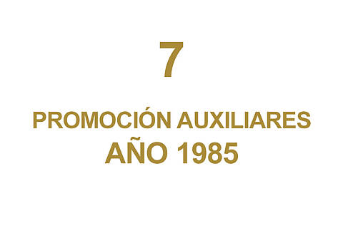 7 PROMOCION AUXILIARES