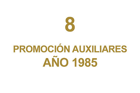 8 PROMOCION AUXILIARES