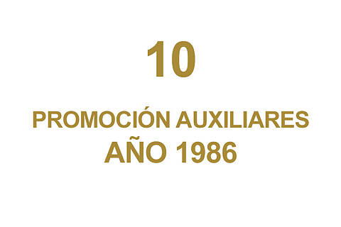 10 PROMOCION AUXILIARES