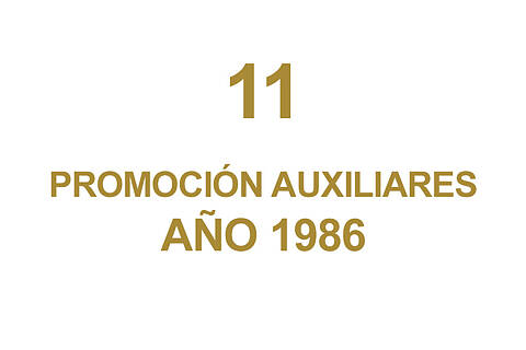 11 PROMOCION AUXILIARES