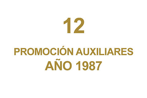12 PROMOCION AUXILIARES