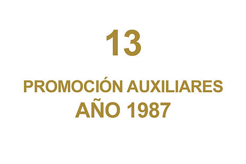 13 PROMOCION AUXILIARES
