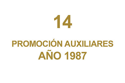 14 PROMOCION AUXILIARES