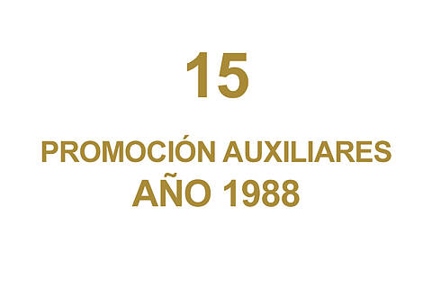 15 PROMOCION AUXILIARES