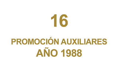 16 PROMOCION AUXILIARES
