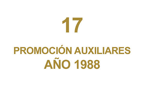 17 PROMOCION AUXILIARES