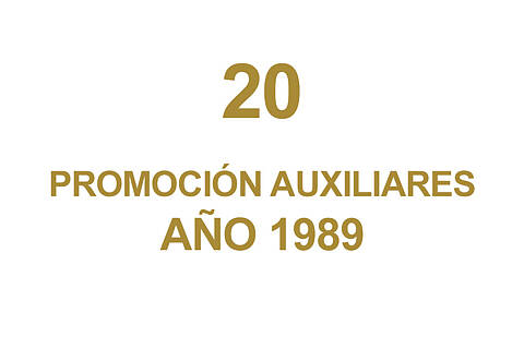 20 PROMOCION AUXILIARES