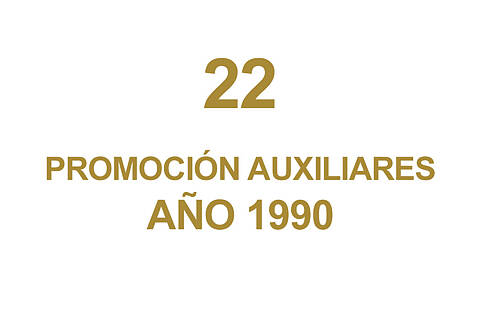 22 PROMOCION AUXILIARES