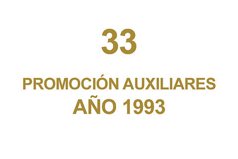 33 PROMOCION AUXILIARES