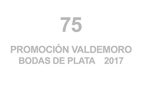 75 BODAS DE PLATA VALDEMORO