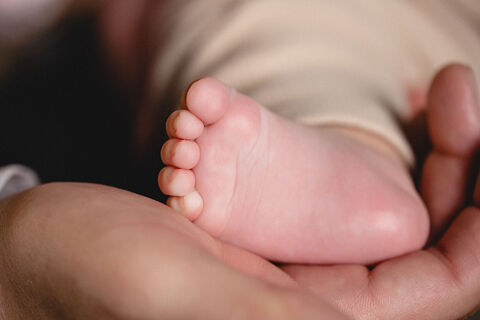 Familiar Diana - Descarga