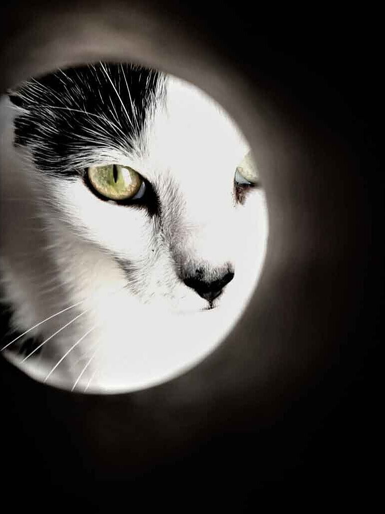 FotoAula Villalbilla · Curso de Fotografía Creativa