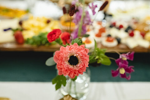 Cenas Adivina Dra. Laura Gámez