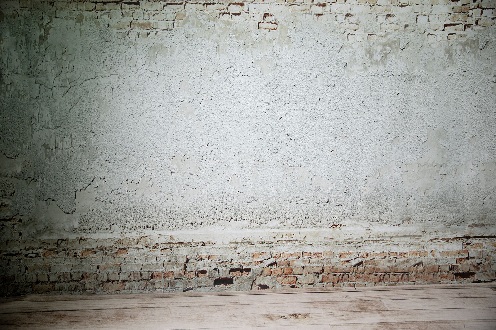 saraalarconfotografia - sara-alarcon-fotografia-estudio-de-fotografia-lleida-decorado-6-ts20251016143209170598.jpg