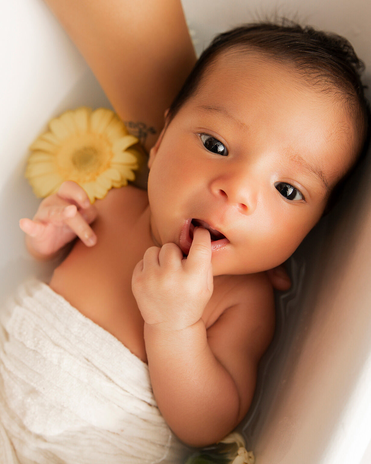 Sara Alarcon fotografia - sesion-newborn-con-banerita-y-flores-en-lleida-ts20260610093705377750.jpg