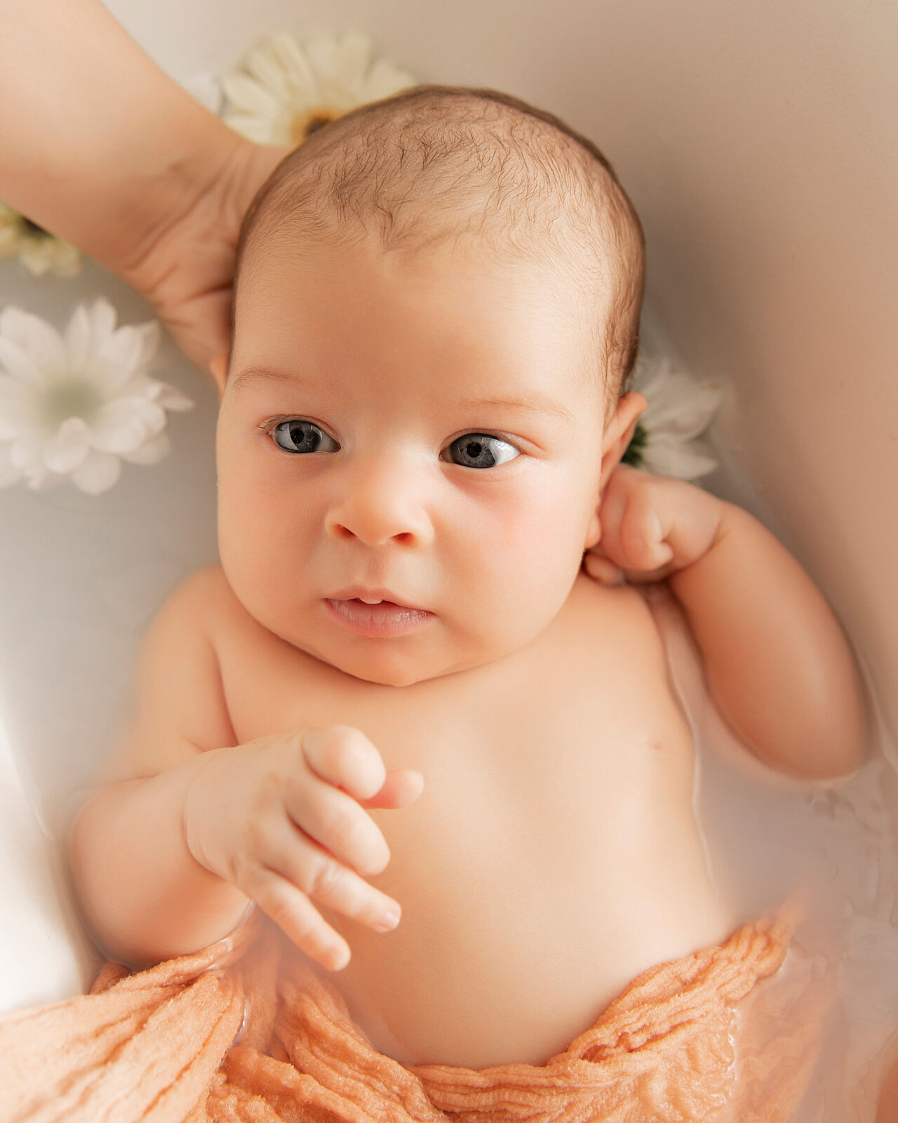 Sara Alarcon fotografia - sesion-recien-nacido-bath-milk-sara-alarcon-fotografia-ts20260610093750734934.jpg