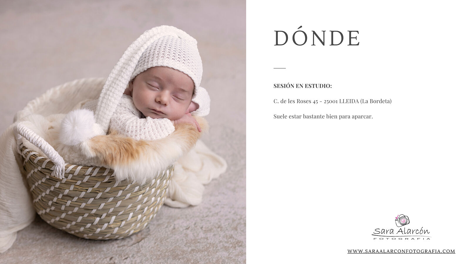 Sara Alarcon fotografia - fotografia-newborn-lleida-estudio-profesional-n7-ts20260611161702810551.jpg