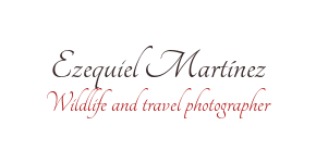 Ezequiel Martínez - Fotógrafo
