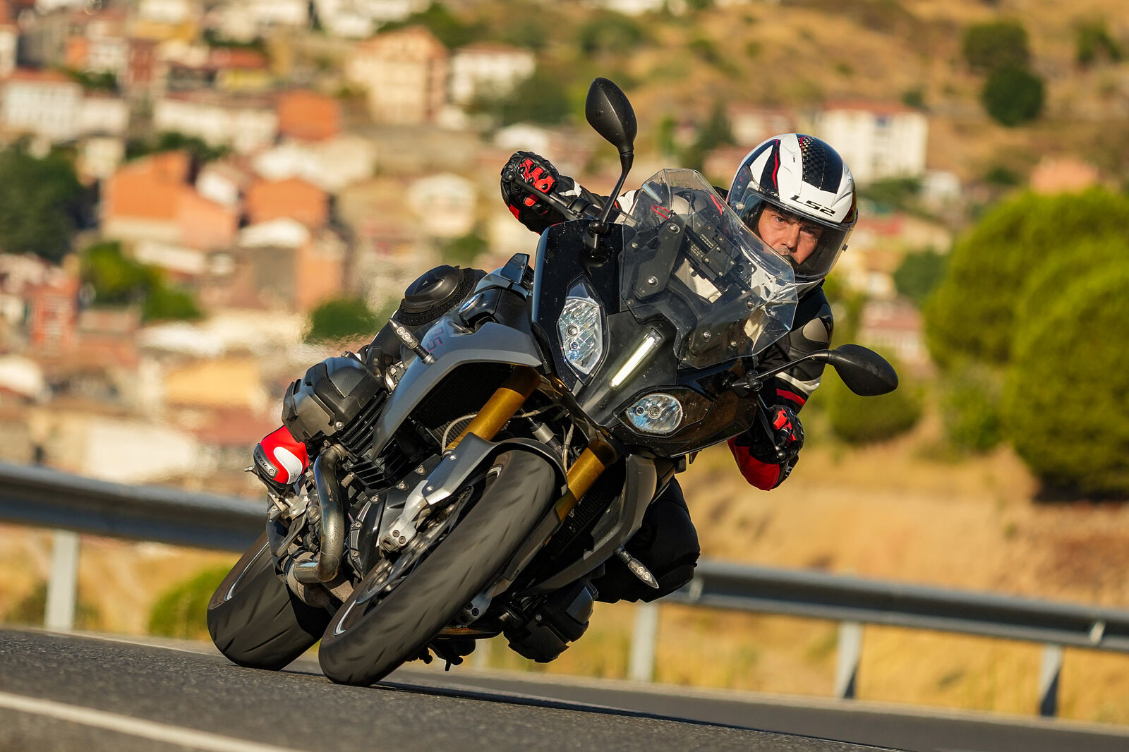 Retratos Tamayo - retratos-tamayo_-113-ts20251106145853341782.jpg