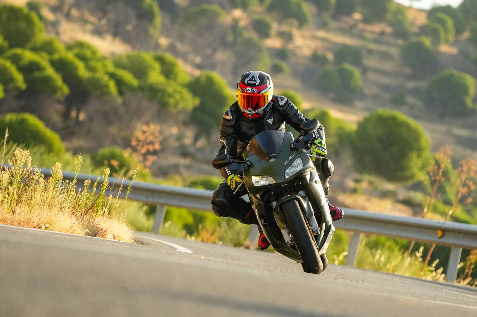 Retratos Tamayo - retratos-tamayo_-2-ts20251106145842392850.jpg