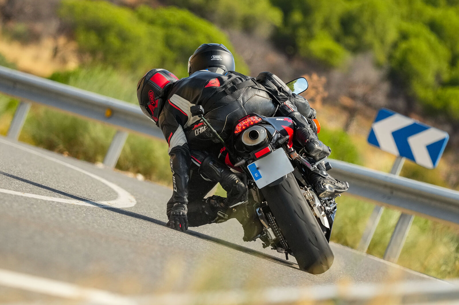 Retratos Tamayo - retratos-tamayo_-877-ts20251106145925927898.jpg