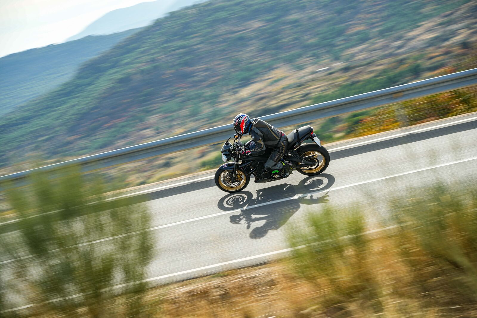 Retratos Tamayo - retratos-tamayo_-1444-ts20251127141029285704.jpg